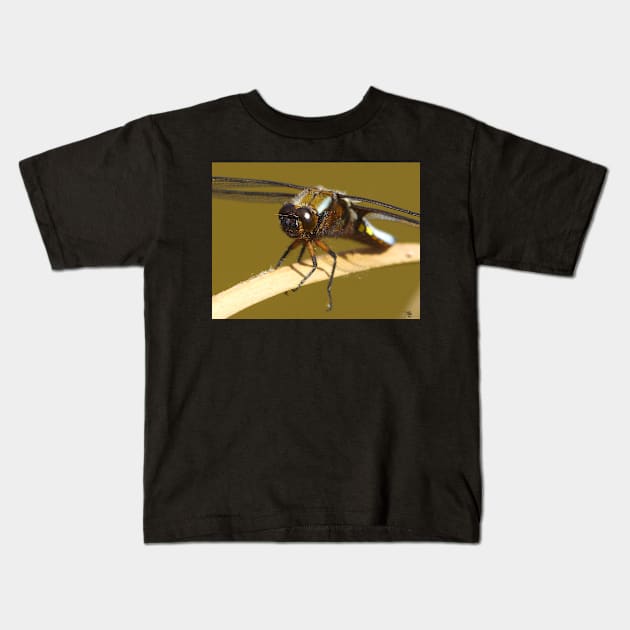 broad bodied chaser dragonfly Kids T-Shirt by Simon-dell